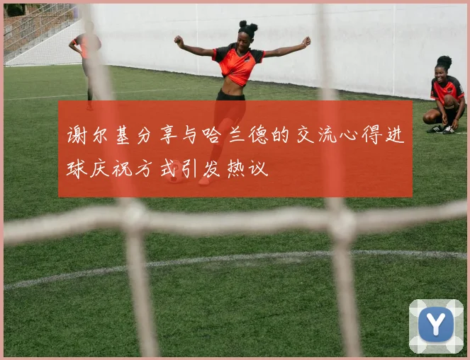 谢尔基分享与哈兰德的交流心得进球庆祝方式引发热议